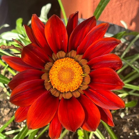 Meet your Posher, Laura and bob - Picture 1 of 1